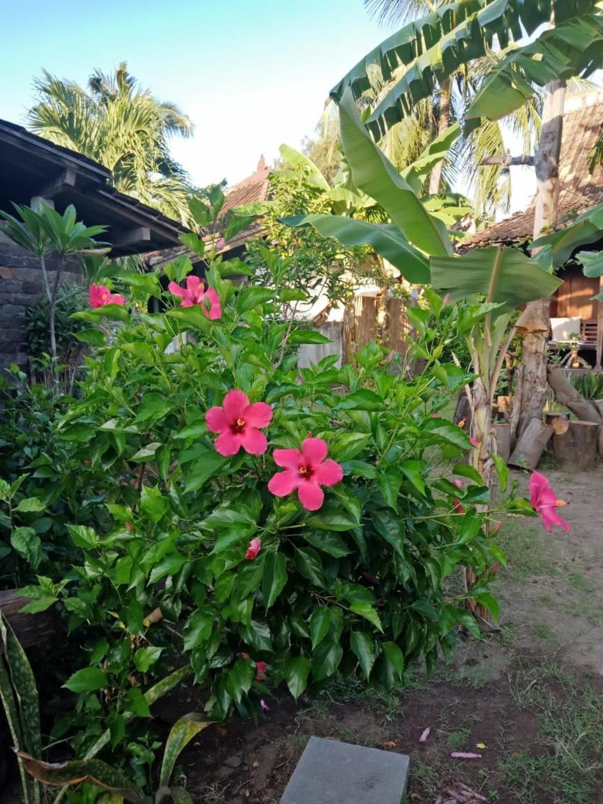 Blu D'Amare Otel Gili Trawangan Dış mekan fotoğraf